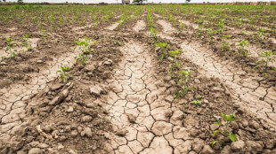 La siccit&agrave; minaccia l'Europa,colpito soprattutto il Mediterraneo