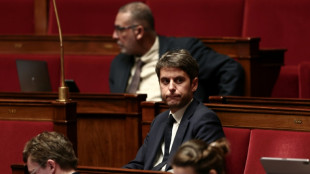 Frankreichs Abgeordnete debattieren Verschiebung der Rentenreform