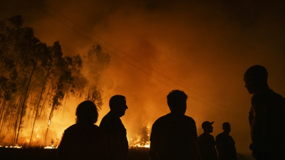 Les incendies au Portugal en passe d'&ecirc;tre ma&icirc;tris&eacute;s