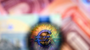 Zone euro: l'activit&eacute; &eacute;conomique poursuit sa l&eacute;g&egrave;re croissance en f&eacute;vrier (PMI Flash)