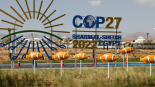 La COP27 adopte un texte sur les d&eacute;g&acirc;ts climatiques aux plus pauvres