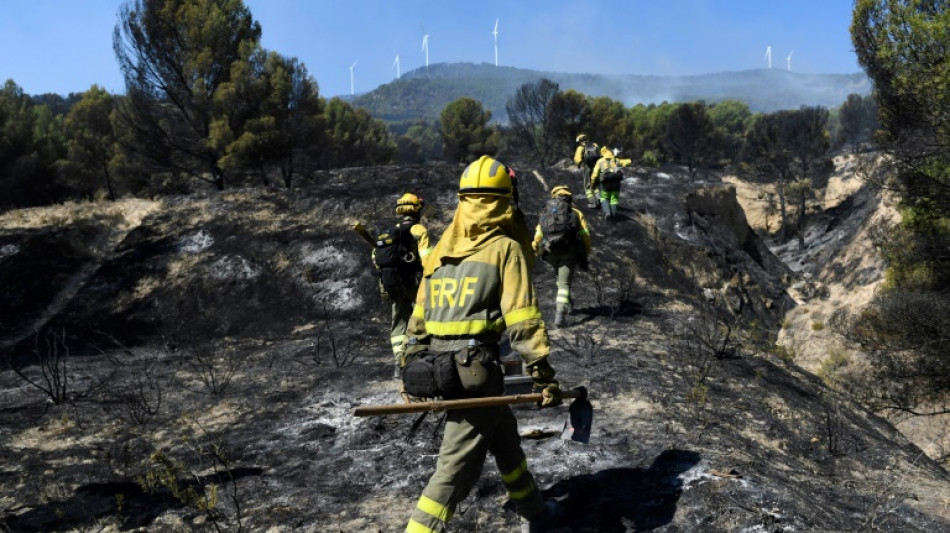 Un incendio en Espa&ntilde;a quema cerca de 10.000 hect&aacute;reas