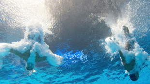 Wasserspringer Barthel/R&uuml;diger als Vierte ins Finale