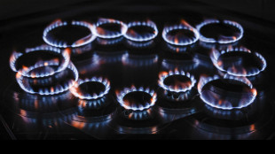 Il gas chiude in calo sotto i 33 euro al Ttf di Amsterdam