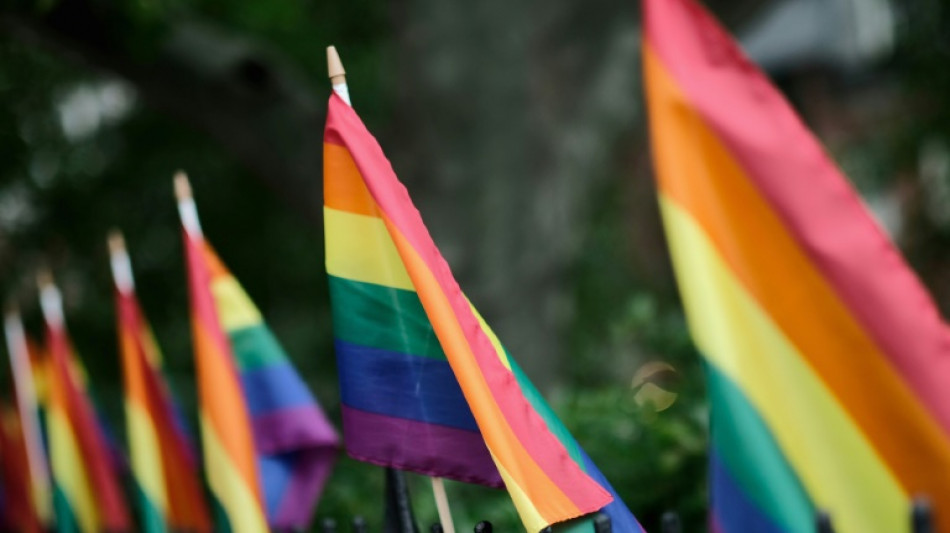 Desfile del Orgullo de Nueva York recurre a fondos participativos ante retirada de empresas