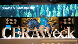 A Houston, la guerre au Moyen-Orient bouleverse le Davos de l'&eacute;nergie