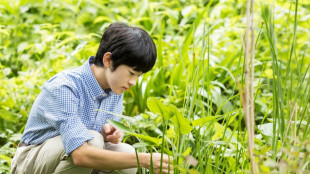 Japon: Hisahito, deuxi&egrave;me dans l'ordre de succession de l'Empereur f&ecirc;te ses 18 ans