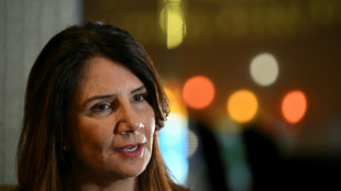 Tariff wars will hamper climate efforts: COP30 CEO