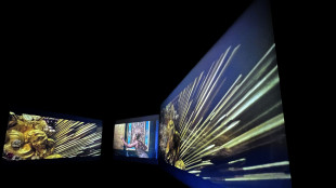 A Napoli Pluribus Multimedia Fest, presidente Stanley Isaacs