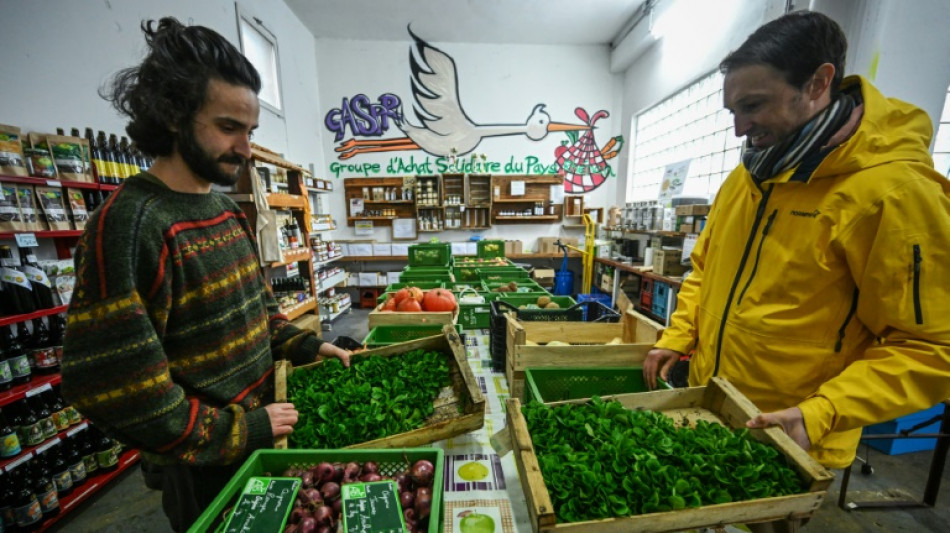 Dans "L'Archipel de Kembs", citoyens et paysans redonnent du sens &agrave; l'agriculture locale