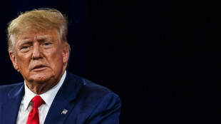Sospechan que "al menos uno" de los testigos en indagaci&oacute;n sobre presiones de Trump minti&oacute;