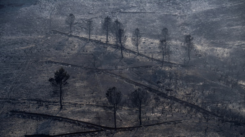 El viento complica la lucha contra los incendios en Espa&ntilde;a