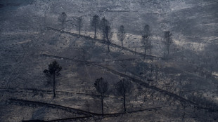 El viento complica la lucha contra los incendios en Espa&ntilde;a