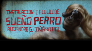 Messico e cinema, installazione di Iñárritu a Fondazione Prada