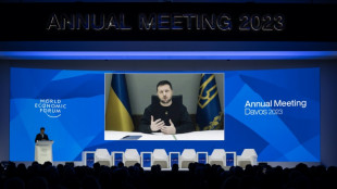 L'Ukraine veut "consid&eacute;rablement" plus d'armes occidentales