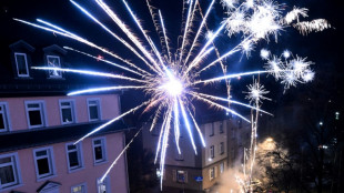 Ein Verd&auml;chtiger nach Angriffen auf Einsatzkr&auml;fte an Silvester in Berlin in Haft