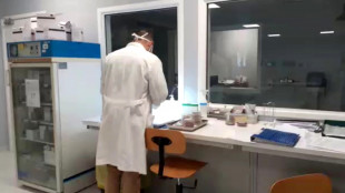 Un chip 3D fatto di transistor e neuroni umani vivi