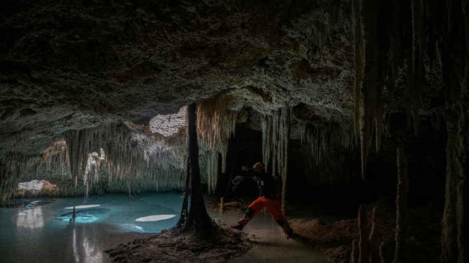 En M&eacute;xico, el Tren Maya amenaza una joya de la naturaleza a su paso