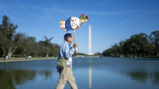 Protesters turn out for anti-Trump 'No Kings' rallies across US