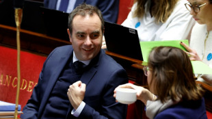 French lawmakers adopt social security budget, suspend pension reform