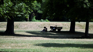 Deutschland stöhnt unter Hitzewelle - bis zu 38 Grad erwartet