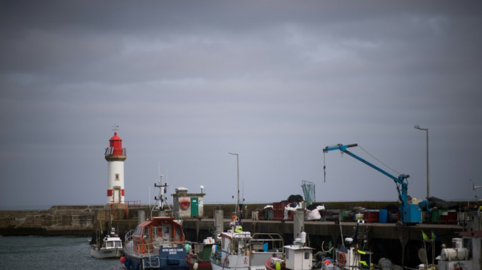 Les poissons d'Oman cr&eacute;ent des remous &agrave; Lorient