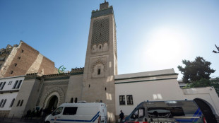 Neun Schweinek&ouml;pfe vor Moscheen im Gro&szlig;raum Paris gefunden