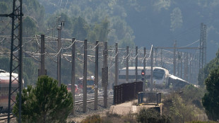 Catastrophe ferroviaire en Espagne: le roi et la reine sur les lieux 