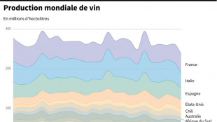 La production mondiale de vin attendue au plus bas depuis 1961, min&eacute;e par les intemp&eacute;ries