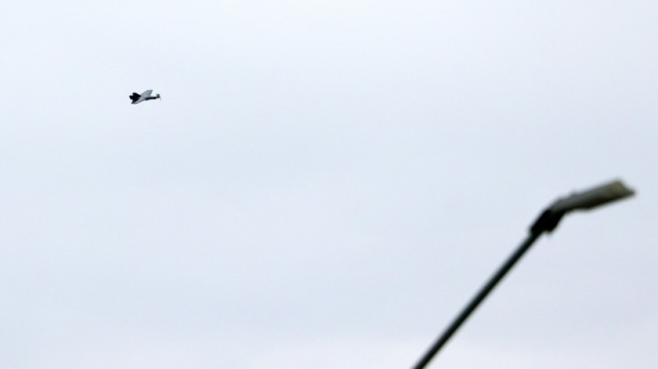 Un ataque ucraniano alcanza una infraestructura energ&eacute;tica en Rusia