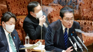 La oposici&oacute;n en Jap&oacute;n presenta un proyecto para legalizar el matrimonio homosexual