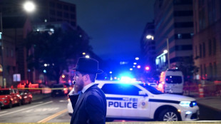 Dos empleados de la embajada israel&iacute; en EEUU asesinados a tiros en Washington