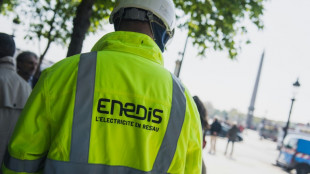 Retraites: une coupure &eacute;lectrique volontaire &agrave; Paris a affect&eacute; des m&eacute;dias et entreprises du num&eacute;rique