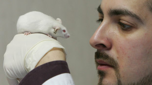 Un collirio vivente per riparare danni alla cornea