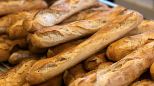 No cadmium please: French want less toxin in their baguettes