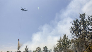 Incendies en Indon&eacute;sie: la Malaisie envoie des pompiers et des moyens a&eacute;riens