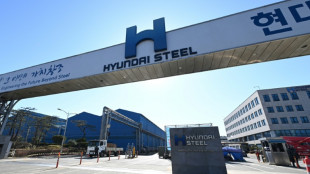 Hyundai investir&aacute; US$ 5,8 bi em planta sider&uacute;rgica nos EUA, diz Casa Branca